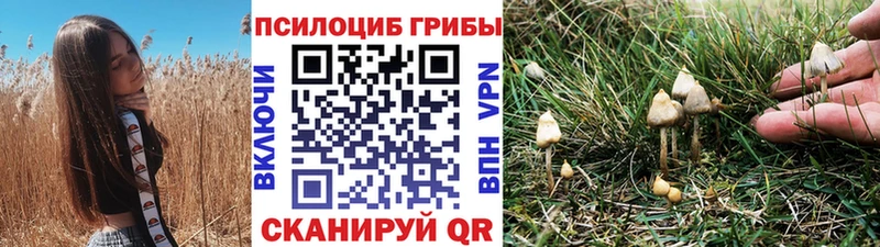 OMG ТОР  как найти наркотики  Бабаево  Галлюциногенные грибы мицелий 