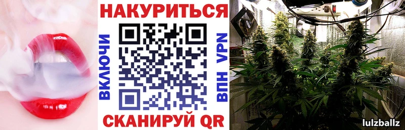 где купить наркоту  Бабаево  МАРИХУАНА гибрид 